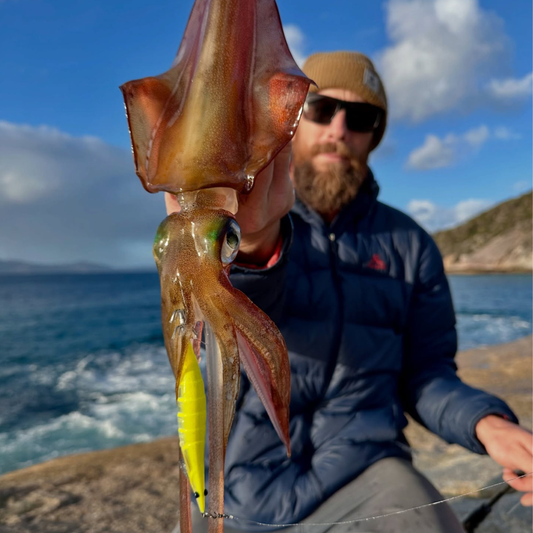 EGI Seeker Squid Jigs