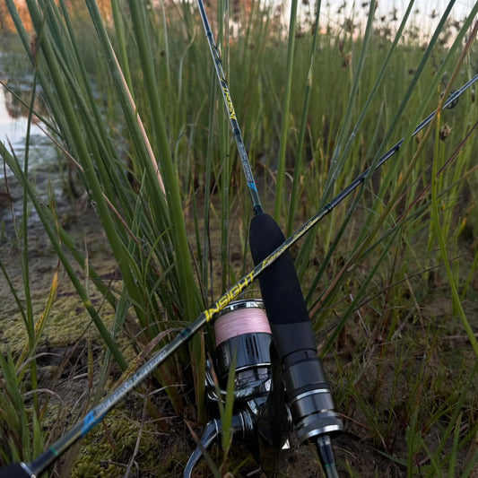 Insight - Finesse: Trout