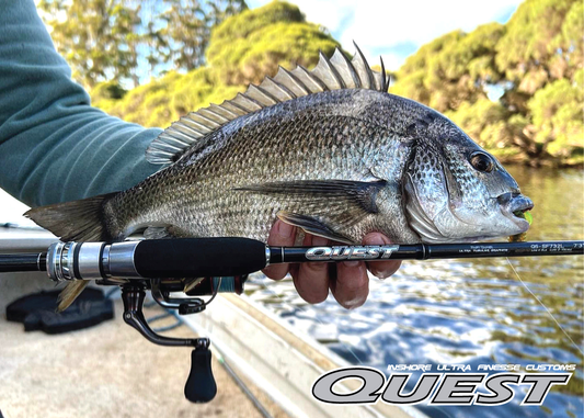 Quest - Flat Spec Series