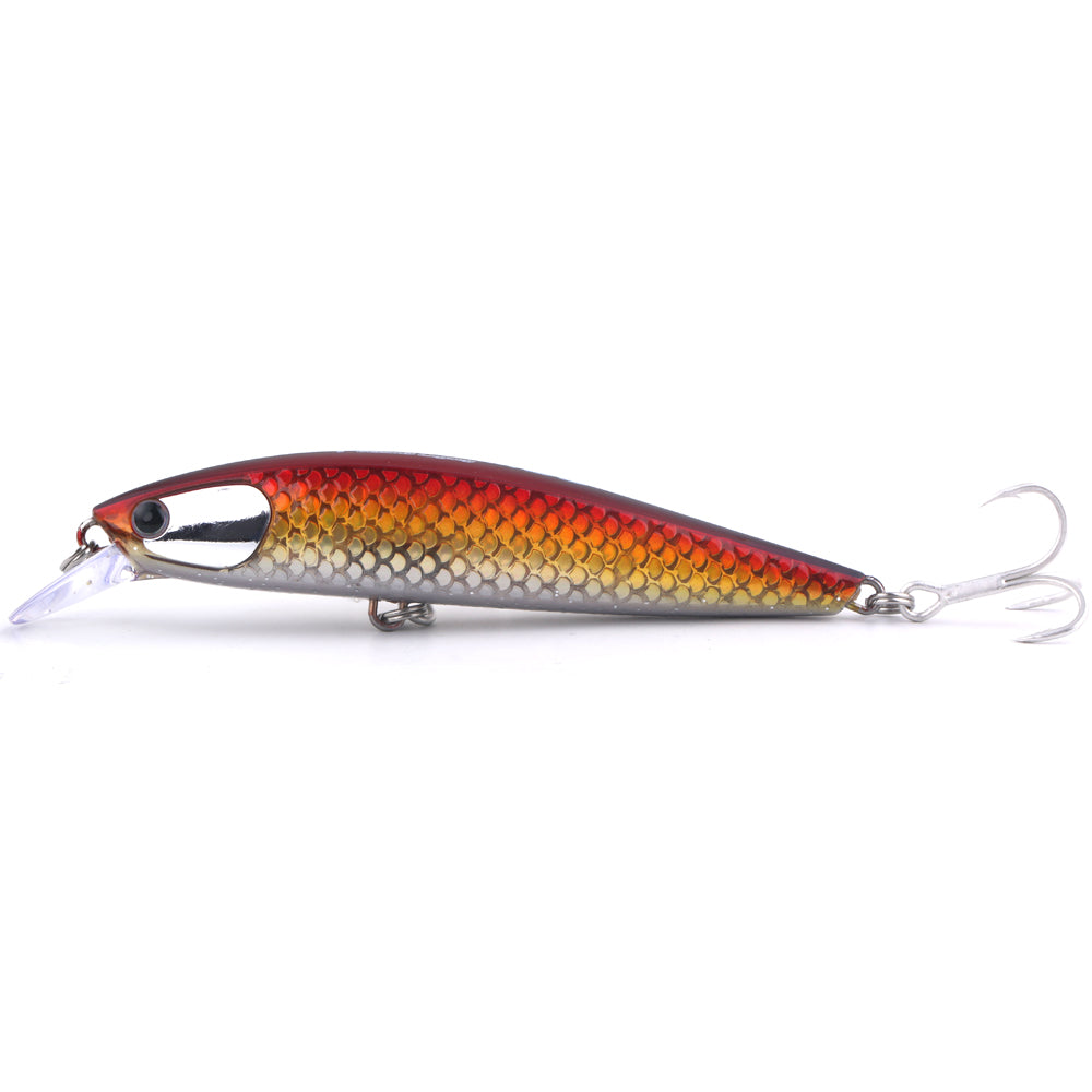 Tidalus Minnow