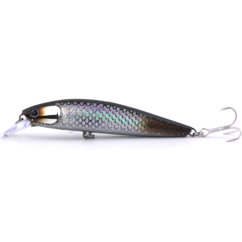 Tidalus Minnow
