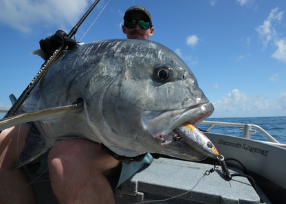 Aggressor - Offshore Plugging Series