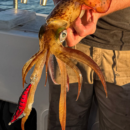 EGI Seeker Dressed Squid Jig