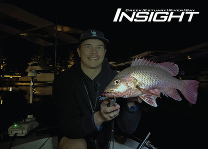 Insight BFS Series