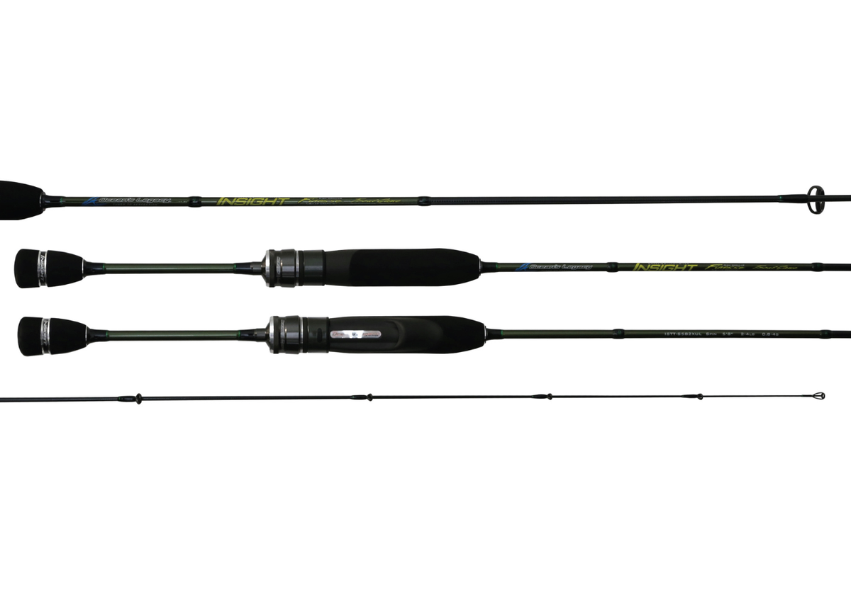 Insight - Finesse: Trout